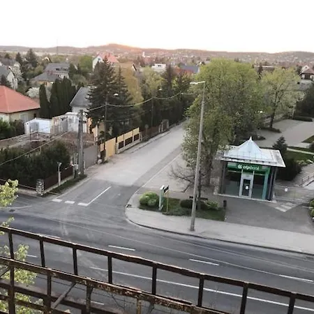 Aranycsillag *